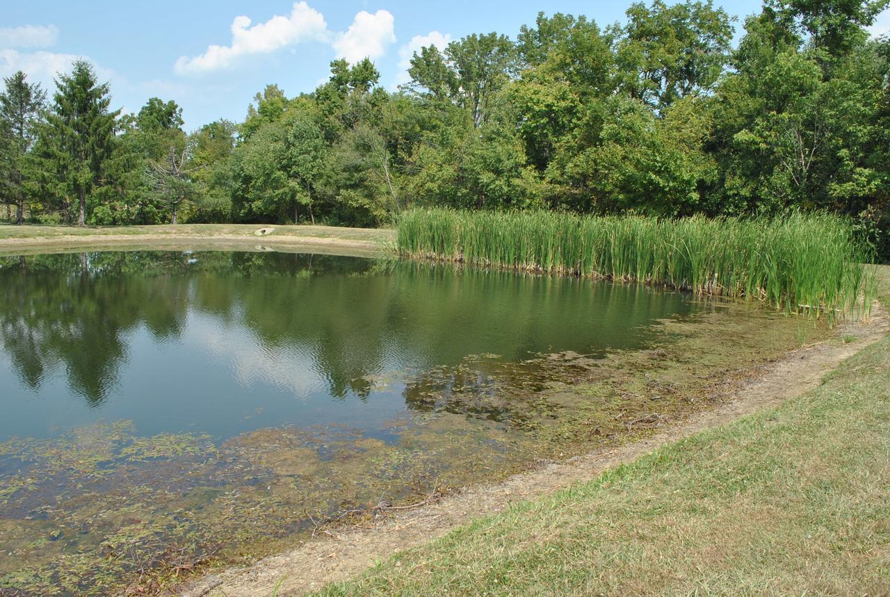 Wilmington Camping Resort Экстерьер фото